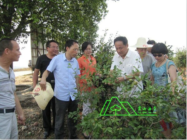 江西省油茶辦主任、工程師孫勇、省科技廳農(nóng)村工作處副處長、副調(diào)研員尹伊等基地指導(dǎo)工作